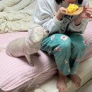 세븐일레븐 부산망미산호점 | 일상 브이로그｜2년 만에 만난 절친이랑 부산 터는 하루 (계획? 그런 거 없는데요)