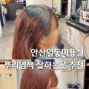 일동미용실 | 안산일동미용실 추천 뿌리염색 잘하는곳 1인 헤어샵 살롱드쎄쎄