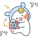 푸른카페