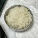 강원나물밥 채원 | 강원도 화천) 메기매운탕 맛집 '강원나물밥채원' 화천점심맛집 추천