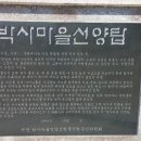 박사마을 이미지