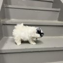 멜로디펍스 이미지