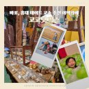 트릭아트뮤지엄 | 홍대 코코넛 박스 후기! 발리감성 방갈로, 볼풀장과 트릭아트 뮤지엄 완벽한 감성 홍대카페