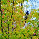 창신공인중개사사무소 이미지