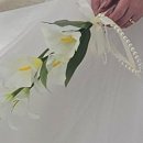 남08 | 08. 부산 세미앙 웨딩 촬영 꿀팁 및 후기 2탄