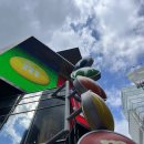 [미국 뉴욕] 뉴욕 타임스퀘어 쇼핑 엠앤엠 M&amp;M, 디즈니스토어 선물리스트 추천