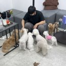 멍린이 회관 네이버블로그