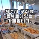 제주 구좌읍 스콘맛집 카페 레이어드 시그니처가 젤 맛있었어요 이미지