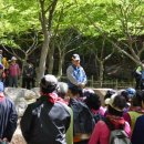 효열초등학교 이미지