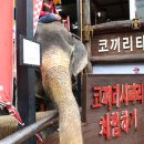 아길라 호텔 이미지