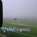 양원정