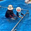 산모랭이 | 청주근교 산모랭이 풀내음 팬션 - 유아동반 여행 수영장 팬션 추천
