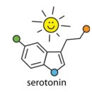 건강한생활 이미지