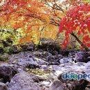 지리산여관 이미지