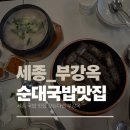 세종순대국밥 | 세종 부강옥 순대국밥 맛집 후기