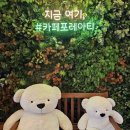 카페 포레아티 이미지
