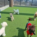 팽성유치원 이미지