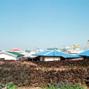 협재올레 이미지