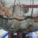 나라3호 이미지