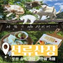 숲속고양이 | [선류산장] 포항 감성 카페 숲속 고양이 카페 방문 후기