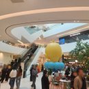 어정초교유치원 입구앞 횡단보도(어정초 쪽) | 파주 운정신도시 스타필드 빌리지 가오픈 방문 후기