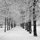 서미영 카카오 검색결과