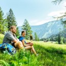 행운목장 이미지