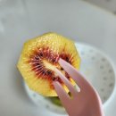 선돌농장 이미지