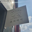 코지아지 | 안양 동편마을 애견미용 ‘코지아지’ 에서 예민한 강아지 첫미용 후기 (말티푸 스포팅컷/스파)