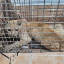 내당119안전센터 이미지