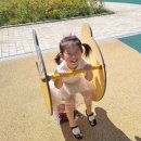 야호어린이집 주변 이미지