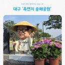 백세정2 | 대구 가볼 만한 곳 송해공원 가는 길부터 볼거리까지 수국 시즌 후기