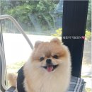 크레센트네일&뷰티