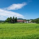 내동목장 이미지