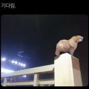 유니깡이