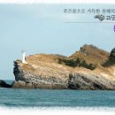 횡경도 Daum카페