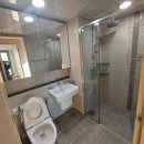 솔터초교 이미지