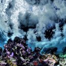 14th CMAS Underwater Photography World Championship 2013 이미지