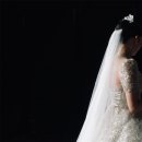 웨스턴베니비스 이미지