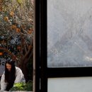 김민종농장 이미지