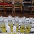 진로직업체험 지도사 2급 이미지