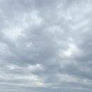 멜버즈서귀포점 이미지