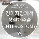 24시 웰니스 동물 의료센터 이미지
