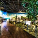 오산리선사유적박물관 이미지