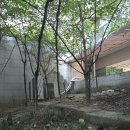 삼성뽑기방 이미지