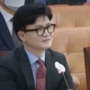 알리바이 이미지