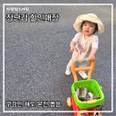 토이플러스 - 오산시 문시로 109-12 | 장난감할인매장 토이플러스 하남 방문 후기｜콩순이 쇼핑카트