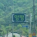 2026 양평 용문산 산나물축제 토요일 제16회 양평용문산산나물축제 후기 리뷰