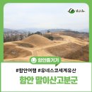 소나무언덕4호 | 함안 가볼만한곳 유네스코 세계유산 가야고분군 말이산고분군