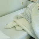 머물다삼포 이미지